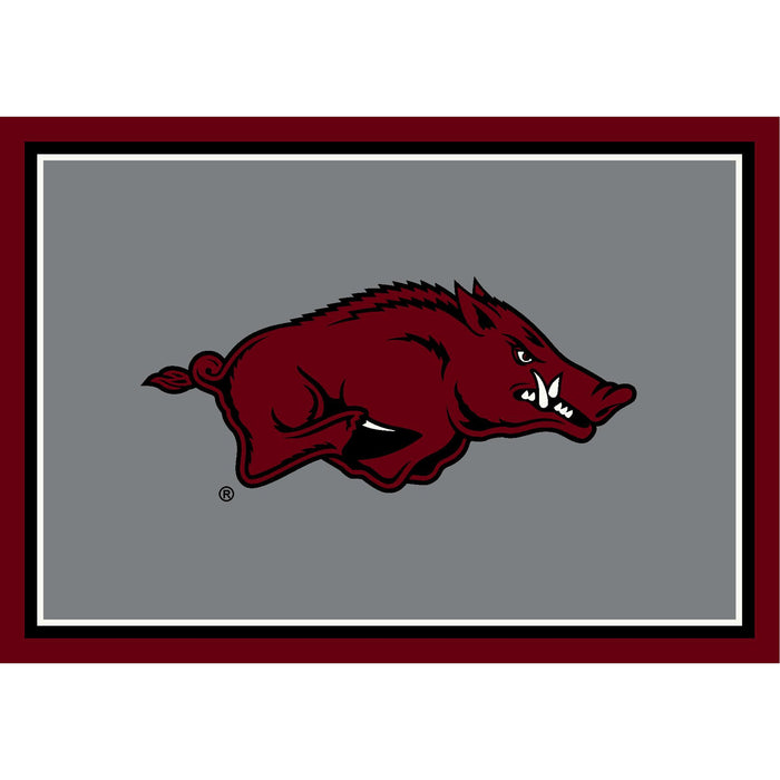 NCAA Team Spirit Rugs