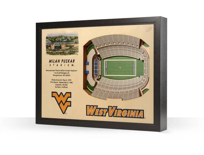 You The Fan! NCAA Stadium View 25-Layer 3D Wall Art